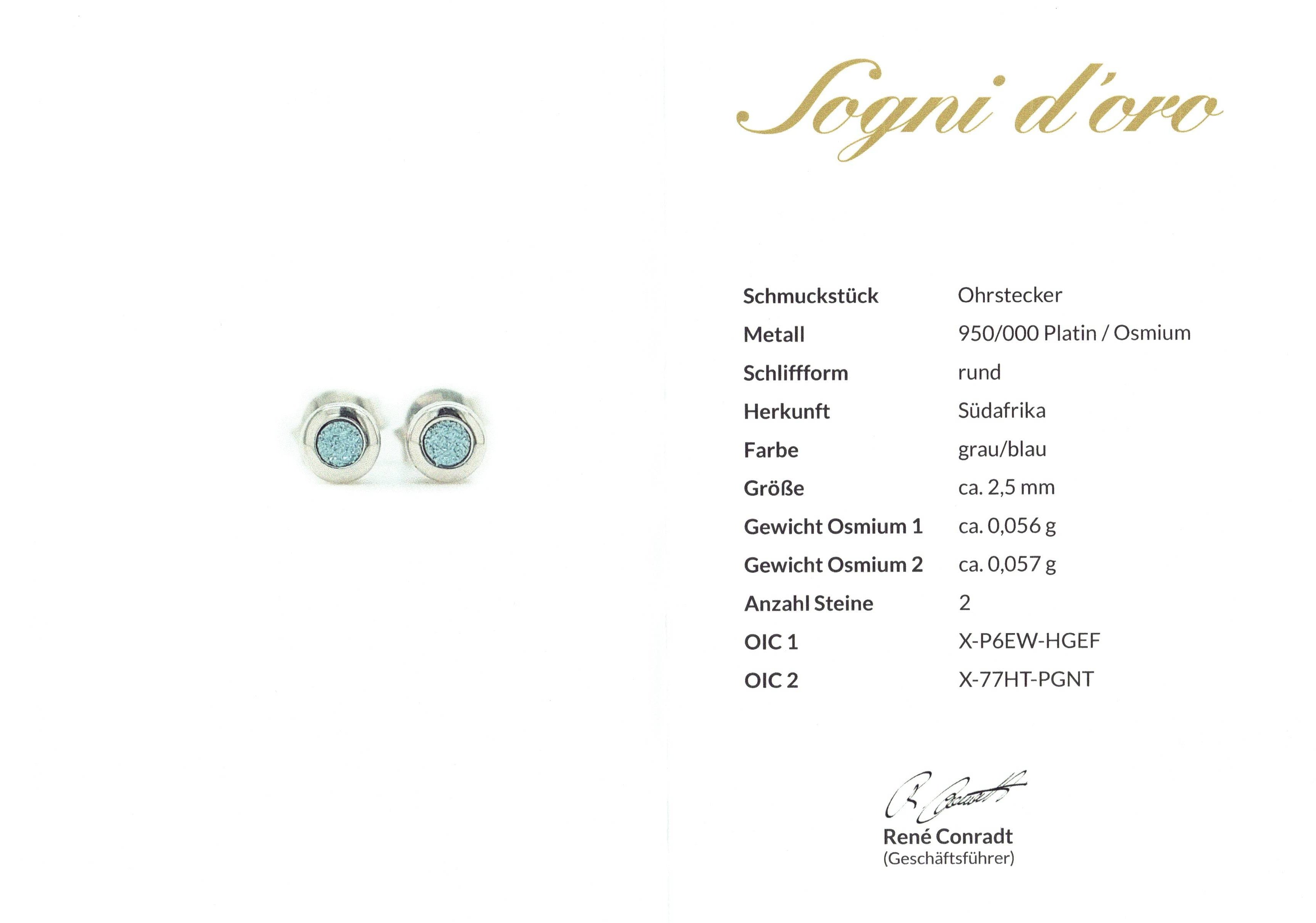 OHRSTECKER AUS 950/- PLATIN MIT OSMIUM